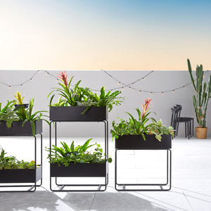 Vernita Indoor/Outdoor Planters
